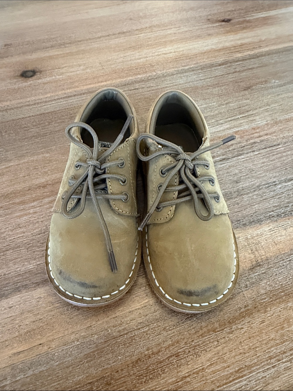 L'Amour Toddler Boy Tyler Lace-Up Shoes in Nubuck Khaki